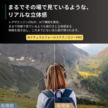 4K有機ELテレビ タイムシフトマシン搭載 X9900Nシリーズ REGZA