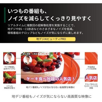 4K有機ELテレビ タイムシフトマシン搭載 X9900Nシリーズ REGZA