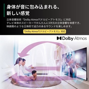 4K有機ELテレビ タイムシフトマシン搭載 X9900Nシリーズ REGZA