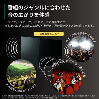 4K有機ELテレビ タイムシフトマシン搭載 X9900Nシリーズ REGZA