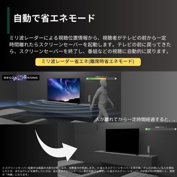 4K有機ELテレビ タイムシフトマシン搭載 X9900Nシリーズ REGZA
