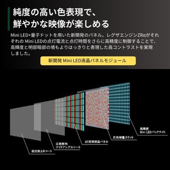 タイムシフトマシン搭載4K Mini LED液晶 Z970Nシリーズ REGZA