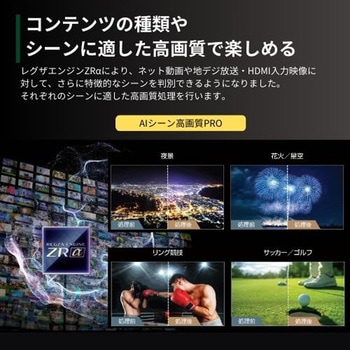 タイムシフトマシン搭載4K Mini LED液晶 Z970Nシリーズ REGZA