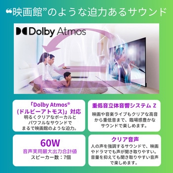 4K対応 MiniLED液晶テレビ タイムシフトマシン搭載 Z870Nシリーズ REGZA
