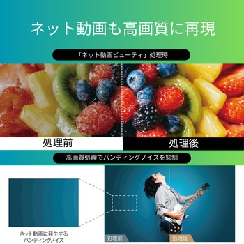 4K対応 液晶テレビ レグザ Z670Nシリーズ REGZA