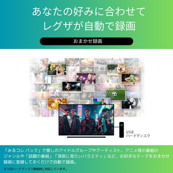 4K対応 液晶テレビ レグザ Z670Nシリーズ REGZA