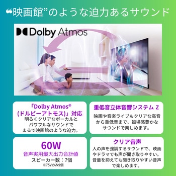 4K対応 液晶テレビ レグザ Z670Nシリーズ REGZA