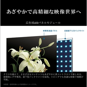 4K液晶レグザ M550Mシリーズ - REGZA