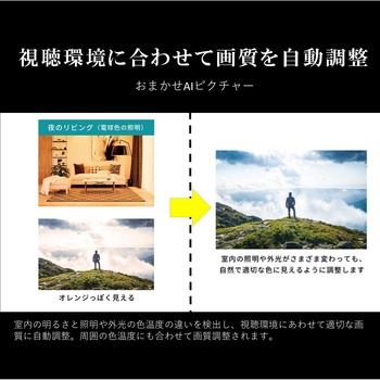 4K液晶レグザ M550Mシリーズ REGZA