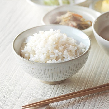 ジャー炊飯器 東芝