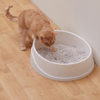 クリーンサンド 5L ハミングシトラスの香り アイリスオーヤマ