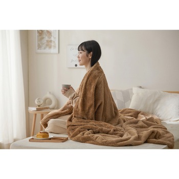 布団カバーにもなる毛布 - アイリスオーヤマ