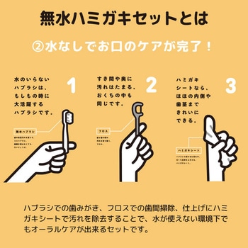 無水ハミガキセット ヤマトエスロン