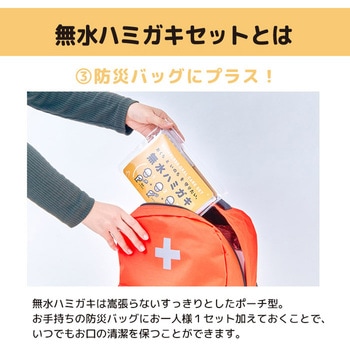 無水ハミガキセット ヤマトエスロン