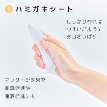 無水ハミガキセット ヤマトエスロン
