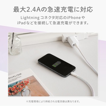 きらきら可愛い グラデーションカラー  急速充電2.4A/データ転送対応 Lightningケーブル OWLTECH(オウルテック)