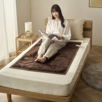 電気毛布 敷きタイプ 抗菌防臭加工 140cm×80cm アイリスオーヤマ