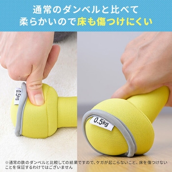 ダンベル 砂 コンパクト 落としても安心 YAMAZEN(山善)