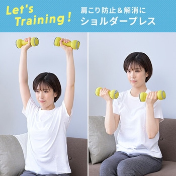ダンベル 砂 コンパクト 落としても安心 YAMAZEN(山善)