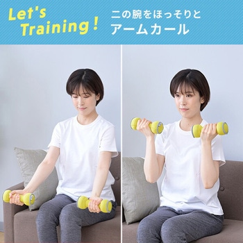 ダンベル 砂 コンパクト 落としても安心 YAMAZEN(山善)
