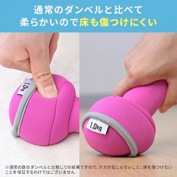 ダンベル 砂 コンパクト 落としても安心 YAMAZEN(山善)