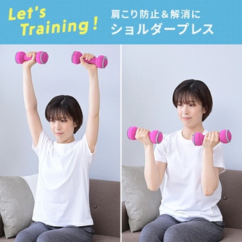 ダンベル 砂 コンパクト 落としても安心 YAMAZEN(山善)