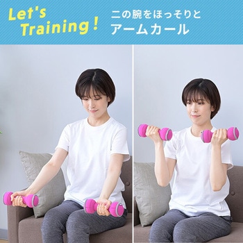 ダンベル 砂 コンパクト 落としても安心 YAMAZEN(山善)