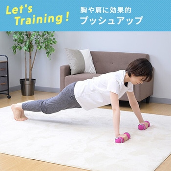 ダンベル 砂 コンパクト 落としても安心 YAMAZEN(山善)