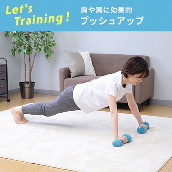 ダンベル 砂 コンパクト 落としても安心 YAMAZEN(山善)