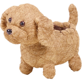 111-007 �V�T���v�[�h�� SG Wonder zone 81455808