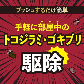 ゼロノナイト ゴキブリ・トコジラミ用 1プッシュ式スプレー 60回分 アース製薬