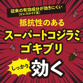 ゼロノナイト ゴキブリ・トコジラミ用 1プッシュ式スプレー 60回分 アース製薬