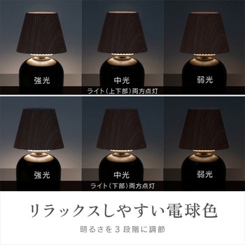充電式ボトルライト ゼピール