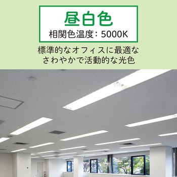 LED直管ランプ HotaluX(ホタルクス)