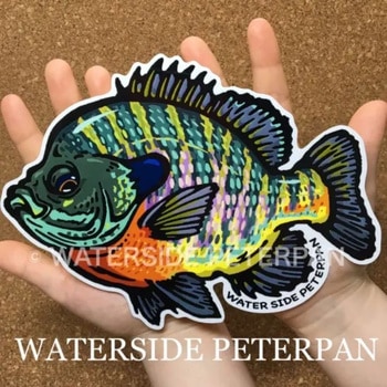 BIGお魚 ステッカー WATER SIDE PETERPAN(ウォーターサイドピーターパン)