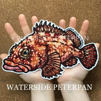 BIGお魚 ステッカー WATER SIDE PETERPAN(ウォーターサイドピーターパン)