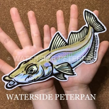 BIGお魚 ステッカー WATER SIDE PETERPAN(ウォーターサイドピーターパン)
