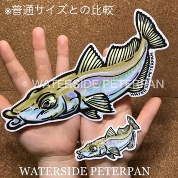 BIGお魚 ステッカー WATER SIDE PETERPAN(ウォーターサイドピーターパン)