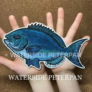 BIGお魚 ステッカー WATER SIDE PETERPAN(ウォーターサイドピーターパン)