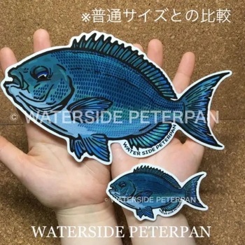 BIGお魚 ステッカー WATER SIDE PETERPAN(ウォーターサイドピーターパン)