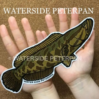 BIGお魚 ステッカー WATER SIDE PETERPAN(ウォーターサイドピーターパン)