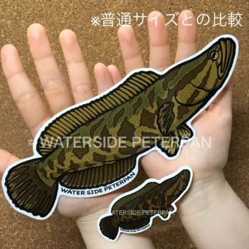 BIGお魚 ステッカー WATER SIDE PETERPAN(ウォーターサイドピーターパン)