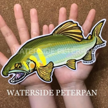 BIGお魚 ステッカー WATER SIDE PETERPAN(ウォーターサイドピーターパン)