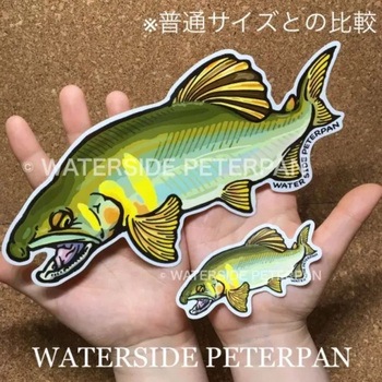BIGお魚 ステッカー WATER SIDE PETERPAN(ウォーターサイドピーターパン)