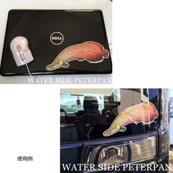 BIGお魚 ステッカー WATER SIDE PETERPAN(ウォーターサイドピーターパン)