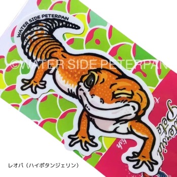 Ip(nC|^WF) GL]`bNAj}XebJ[ M[ WATER SIDE PETERPAN(EH[^[TChs[^[p) 81604628