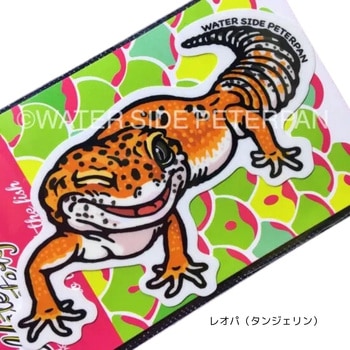 ���I�p(�^���W�F����) �G�L�]�`�b�N�A�j�}���X�e�b�J�[ ���M�����[ WATER SIDE PETERPAN(�E�H�[�^�[�T�C�h�s�[�^�[�p��) 81604646