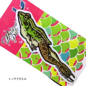 gmT}KG GL]`bNAj}XebJ[ M[ WATER SIDE PETERPAN(EH[^[TChs[^[p) 81604847