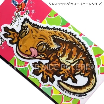 クレステッドゲッコー(ハーレクイン) エキゾチックアニマルステッカー レギュラー WATER SIDE PETERPAN(ウォーターサイドピーターパン) 81604865