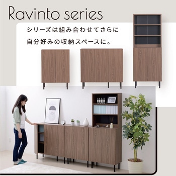 収納棚 扉付き ロータイプ キャビネット 大容量 コミック収納 ファイル収納 本棚 書棚 収納ラック ジェイケイ・プラン
